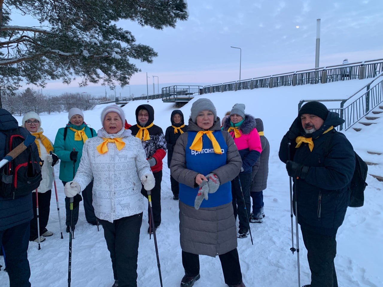 Прогулка в канун Рождества Прогулка в канун Рождества