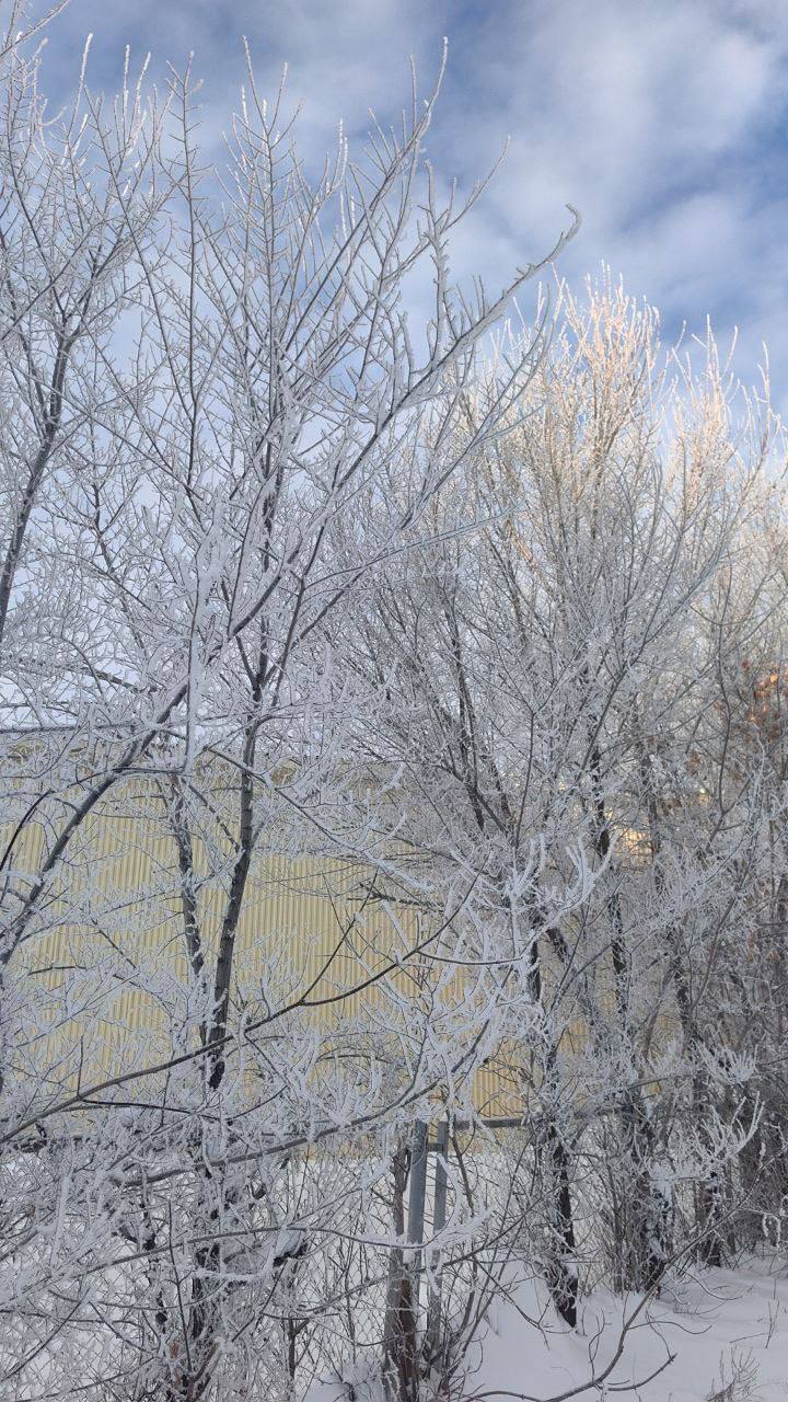 И это еще не все! Только посмотрите на эту красоту И это еще не все! Только посмотрите на эту красоту