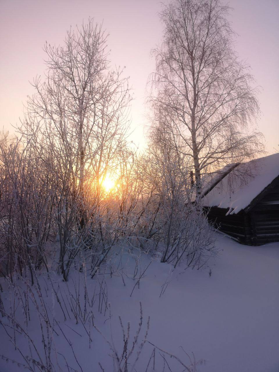 Снежная сказка от читателя Снежная сказка от читателя