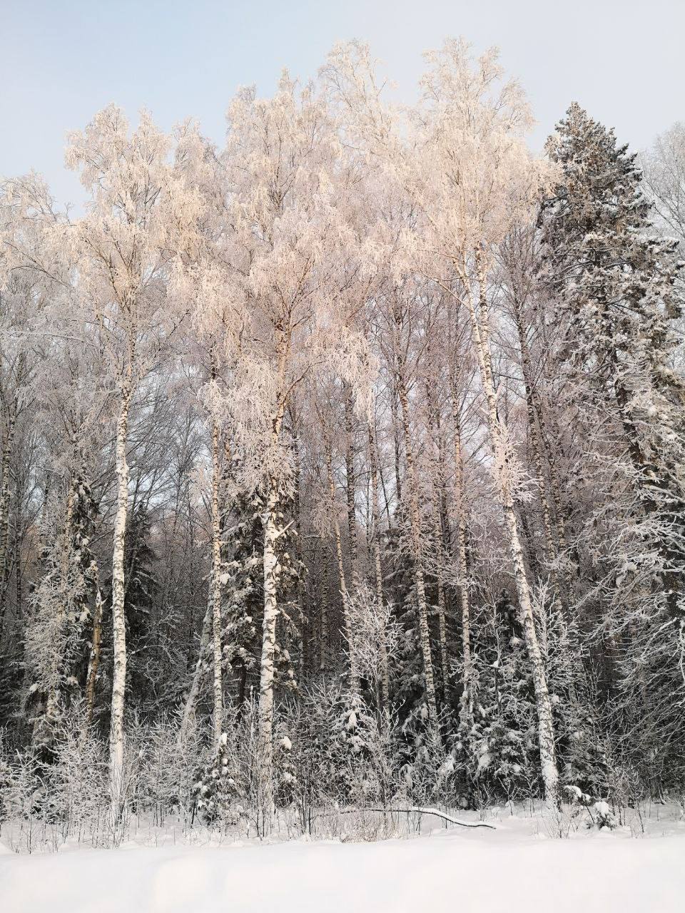 Снежная сказка от читателя Снежная сказка от читателя