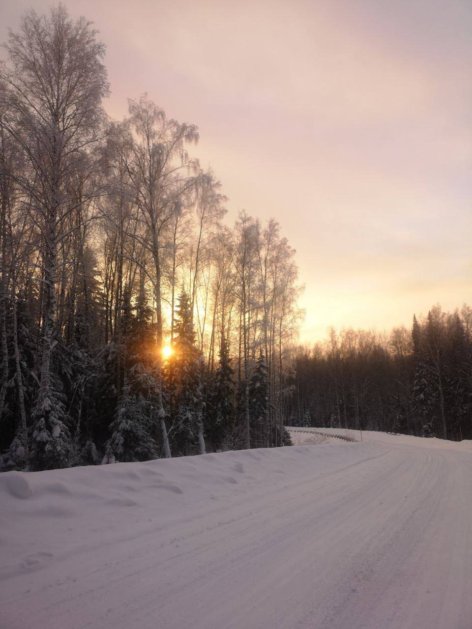 Снежная сказка от читателя Снежная сказка от читателя