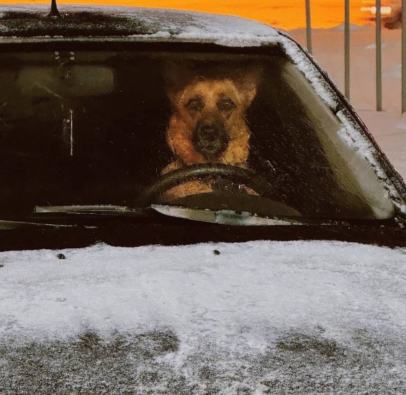 ��������� �������� ����� � �����: �������� �������