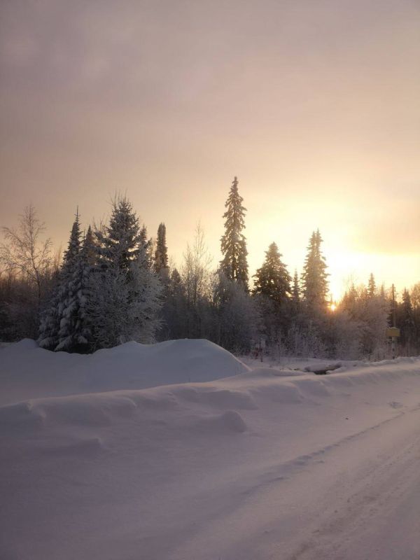 ������� ������ �� ��������