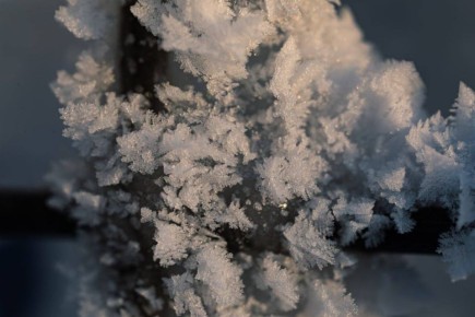 ������������ ������ ����� �� ���������� ���������