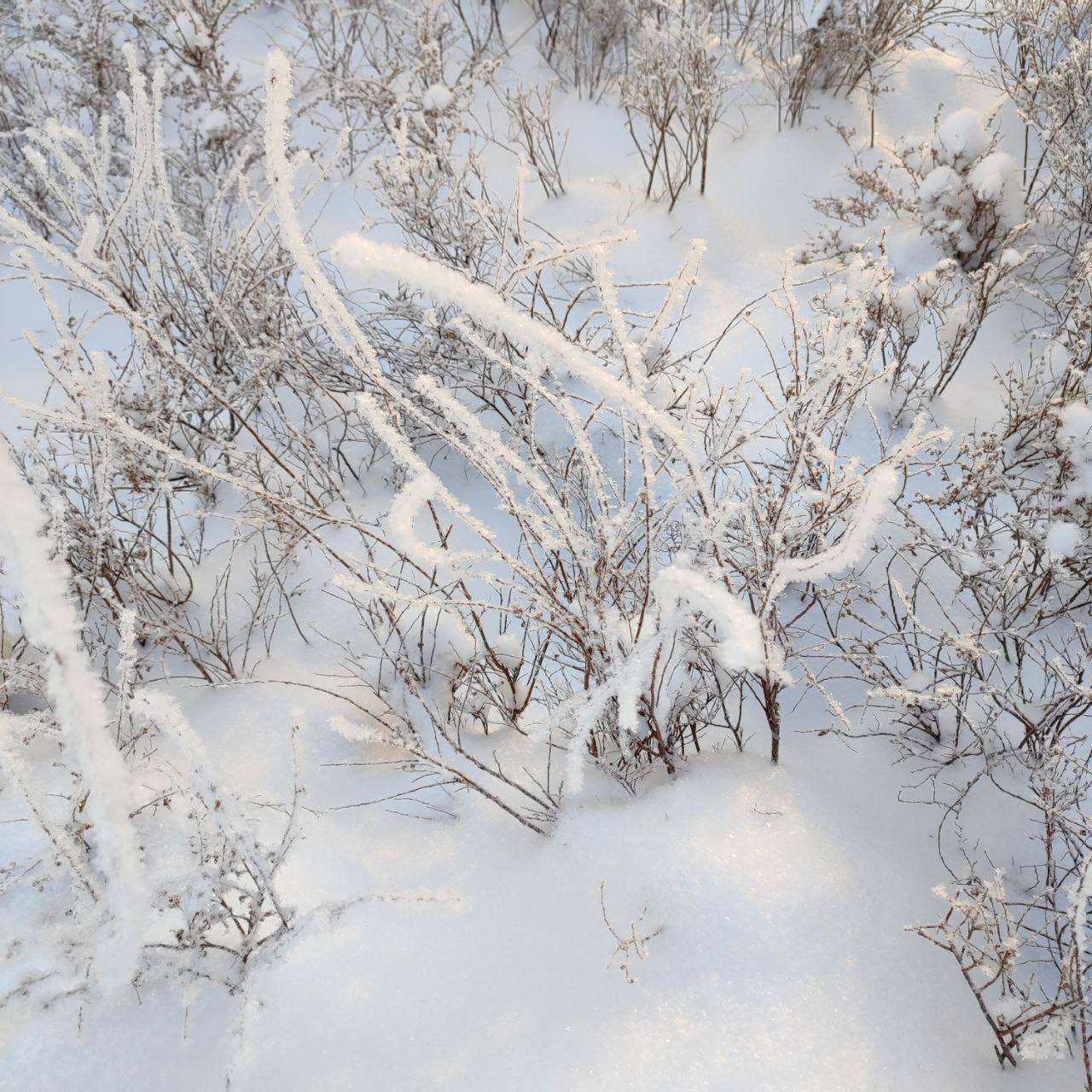 Продолжаем делиться красотой в объективе жителей области Продолжаем делиться красотой в объективе жителей области