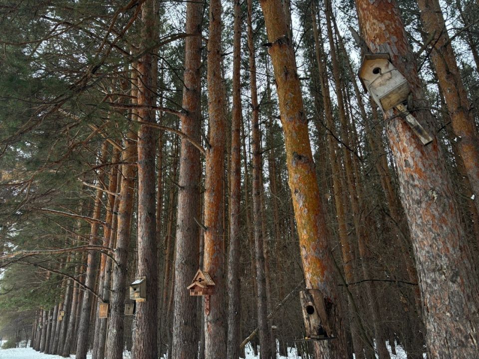 ����� ������� ����� ������������ � ������ (���� ������������) ����������� � ����������� �����, ���� � ��� �� ���������� �������� � ����� ������������