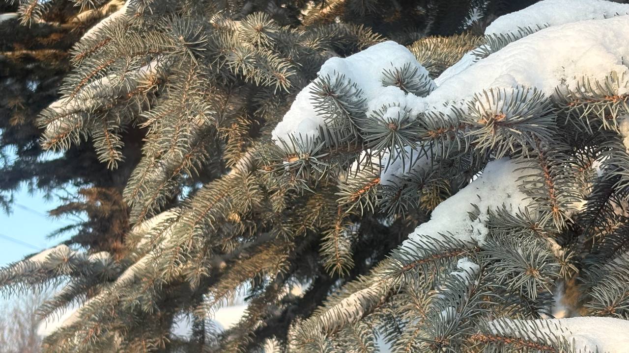 Хорошего Вам дня. МегаТюмень Хорошего Вам дня. МегаТюмень