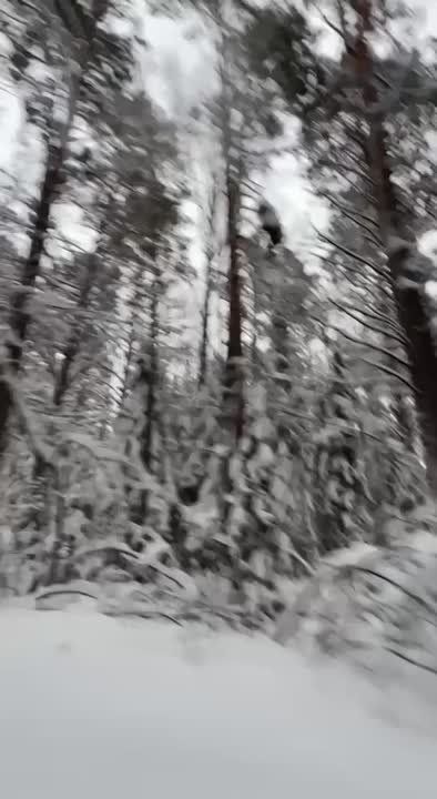 � ���� ������? �� ����� ��������? � ��� ���� � ������! ��� ���� ���? �����, �� ������� �������������!