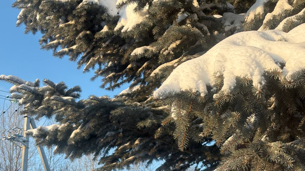 Хорошего Вам дня. МегаТюмень Хорошего Вам дня. МегаТюмень