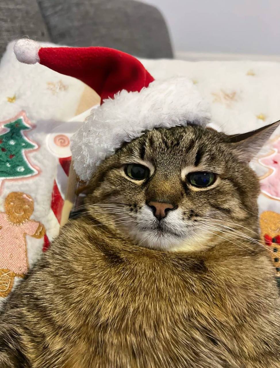 С Рождеством. МегаТюмень С Рождеством. МегаТюмень