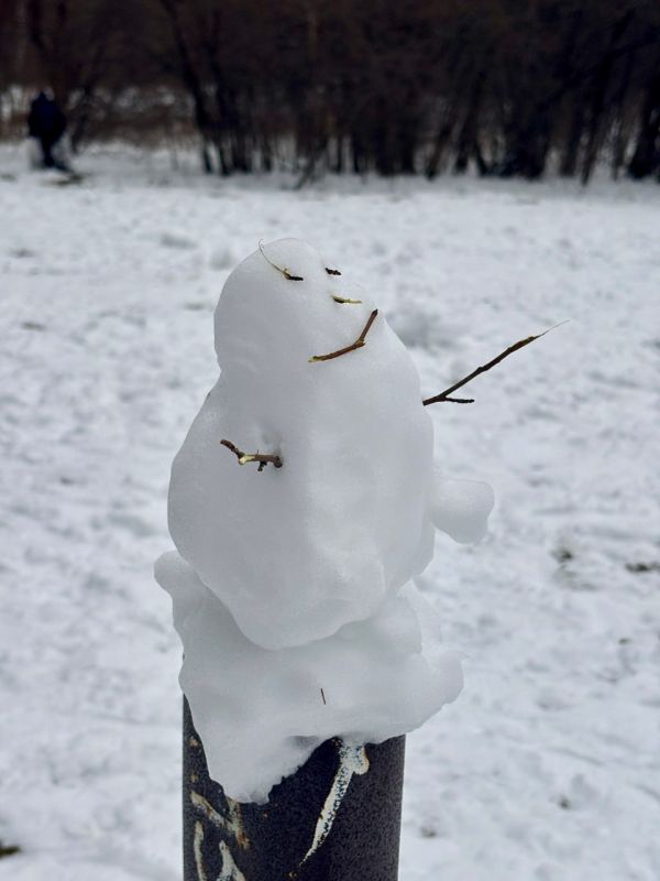 � ����������. �������� ���������� �������� ����������