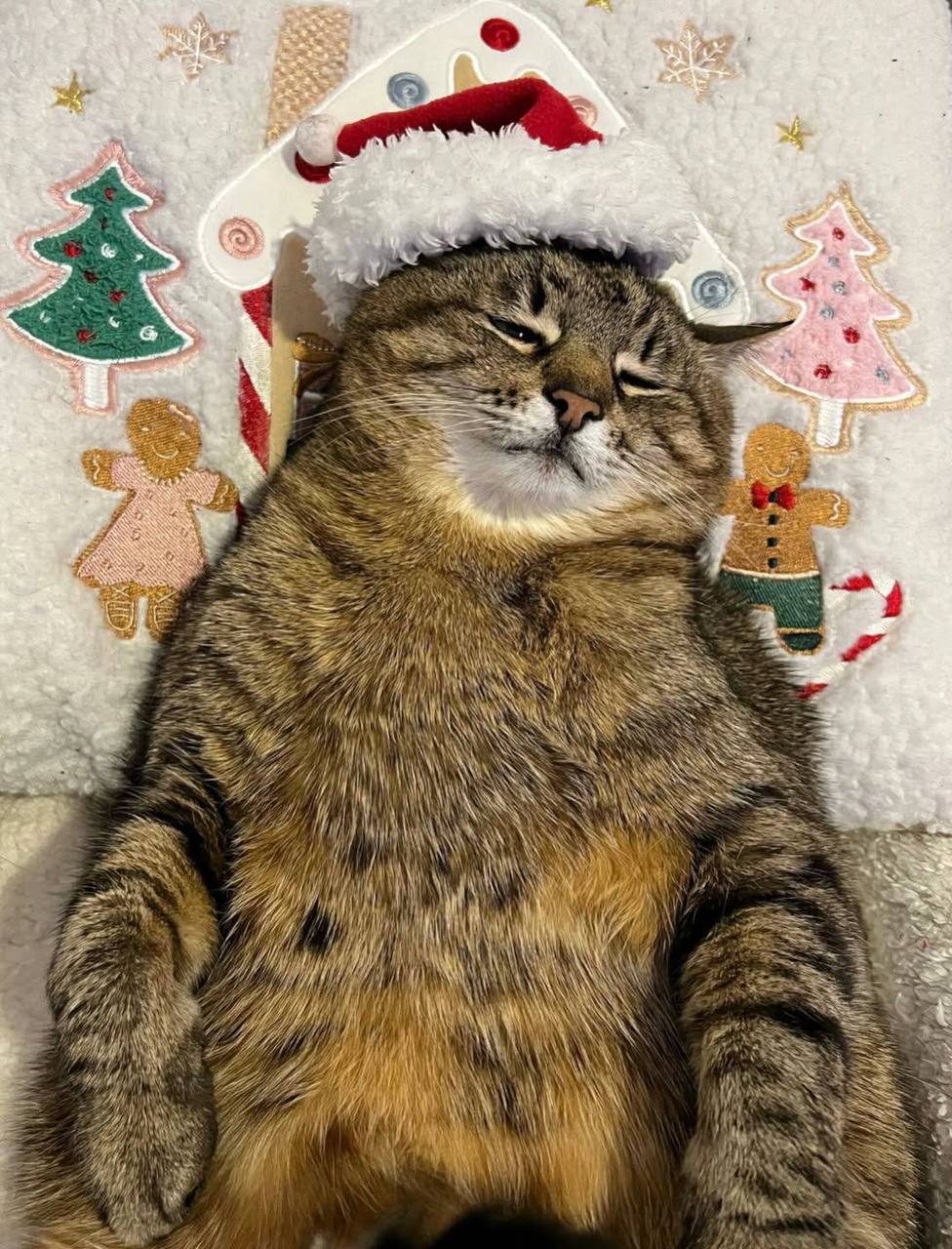 С Рождеством. МегаТюмень С Рождеством. МегаТюмень