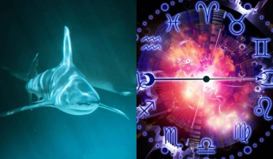 ������� ���� ������������ ��������� �� ����� �������