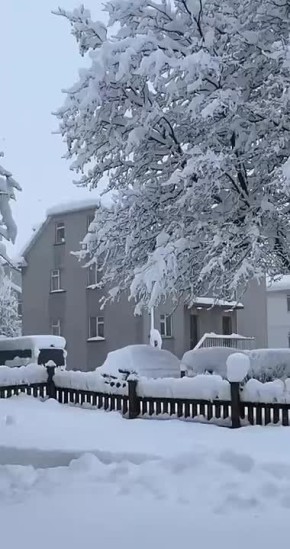 А снега наметет? Смотрим прогноз погоды в Тюмени, ждать ли нам снегопадов в ближайшее время