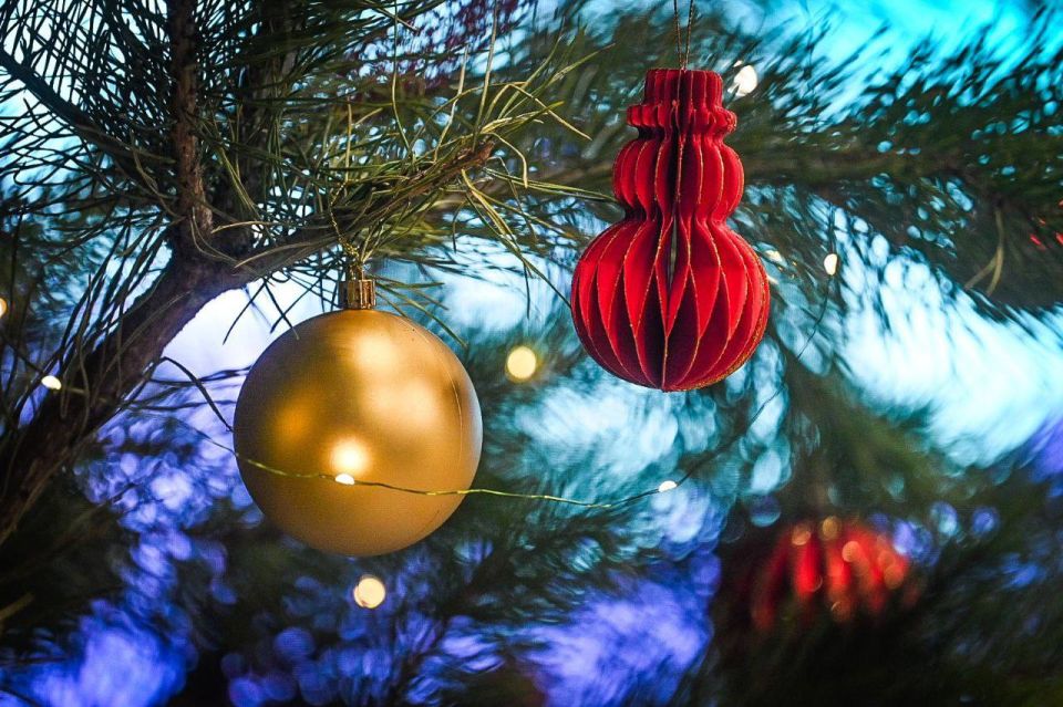 5 �������� ������ ���������� ������� � 2025 ����