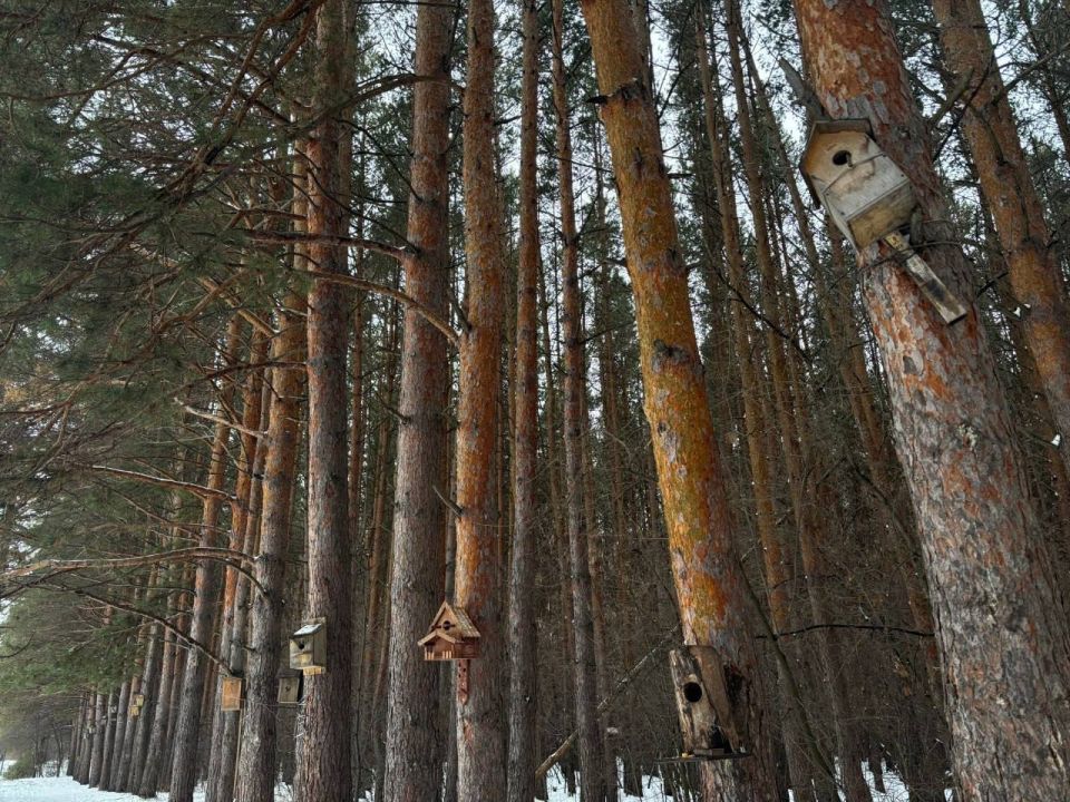 � ������ �������� ���������� ����� ������� ����� ������������