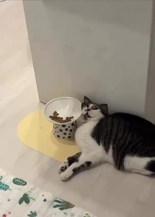 Завтра поштормит магнитными бурями пугают тюменцев специалисты