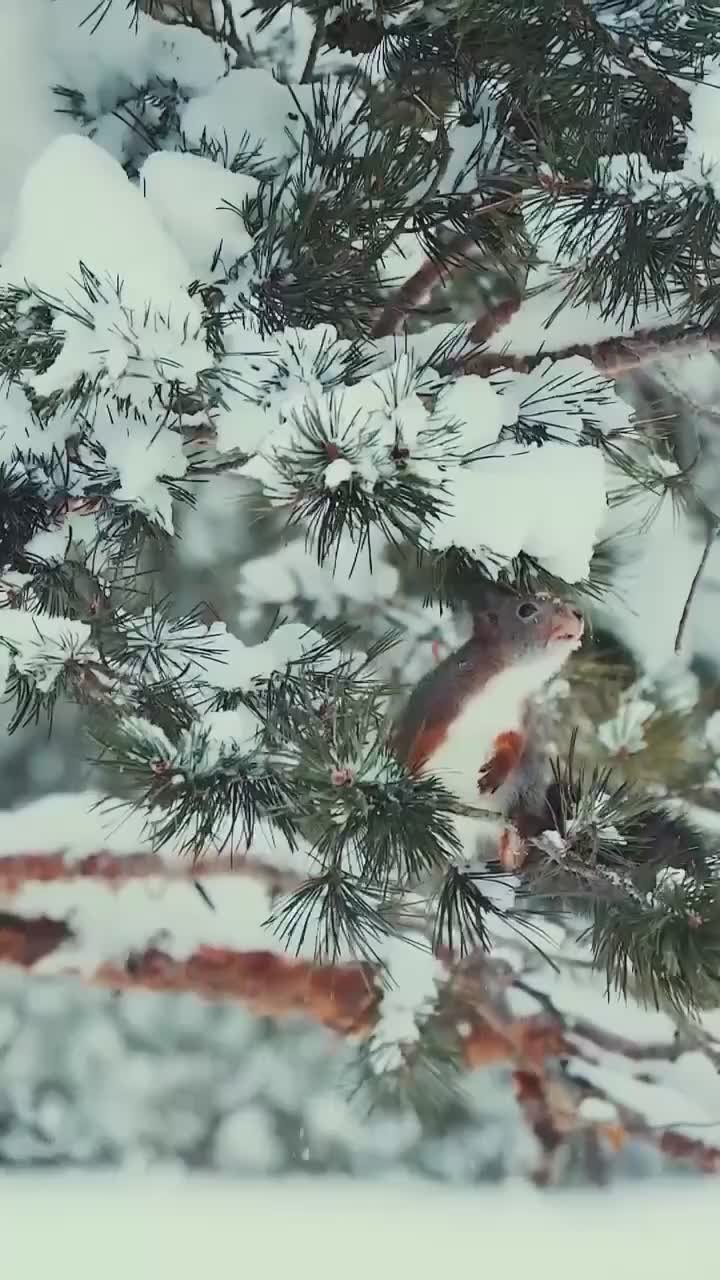 Доброго вам дня. МегаТюмень