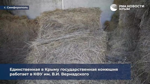 ���� ��� �������� � ����������: ��� �������� ������������ ��������������� ������� �� �����������?