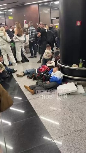 ���������� � ���������� �����������: ���� ���� �� ����