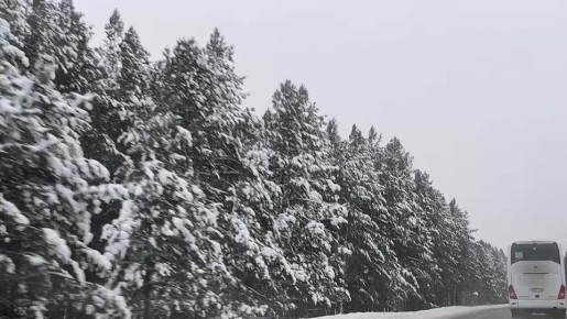 ������� ���������� ������ � �������� ������ ��������� ���������������