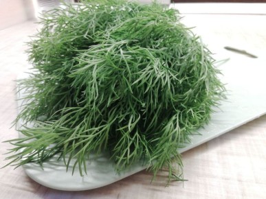 �� ������� ������ � ������? ��� ������� � ����: ��� ��� ������ ������