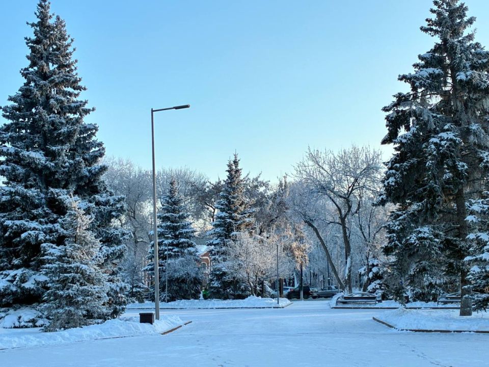 ���� �� ��������� �������� ����� ��������