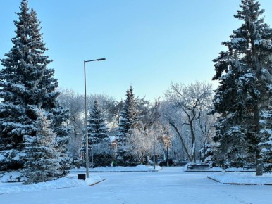 ���� �� ��������� �������� ����� ��������