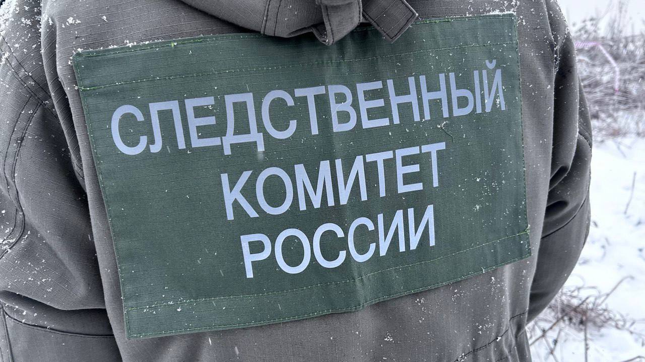 По ходатайству следствия арестован житель города Заводоуковска, обвиняемый в причинении телесных повреждений брату, повлекших его смерть