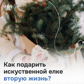 ������������ ���� ���������