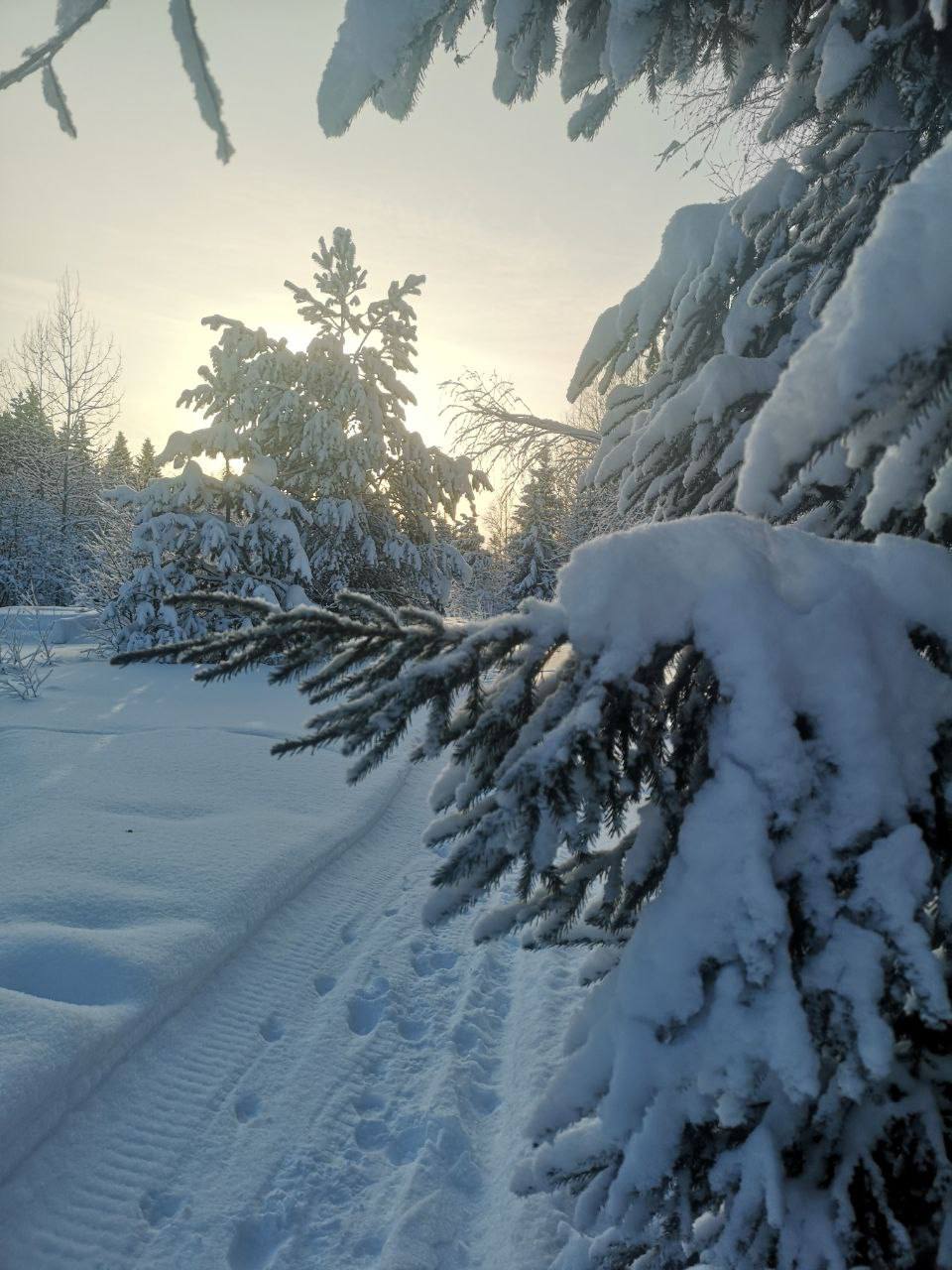 Заснеженная красота из Уватского района Заснеженная красота из Уватского района