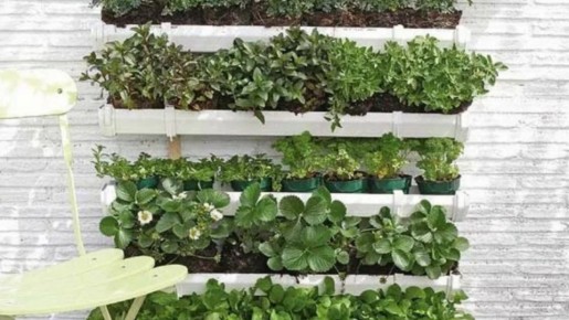 ��� ������������ ������ �� ������� �������� ������ � ���������� ��������������