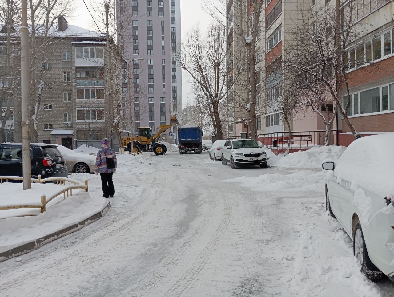 Двор как зимняя сказка, а не снежный плен Двор как зимняя сказка, а не снежный плен