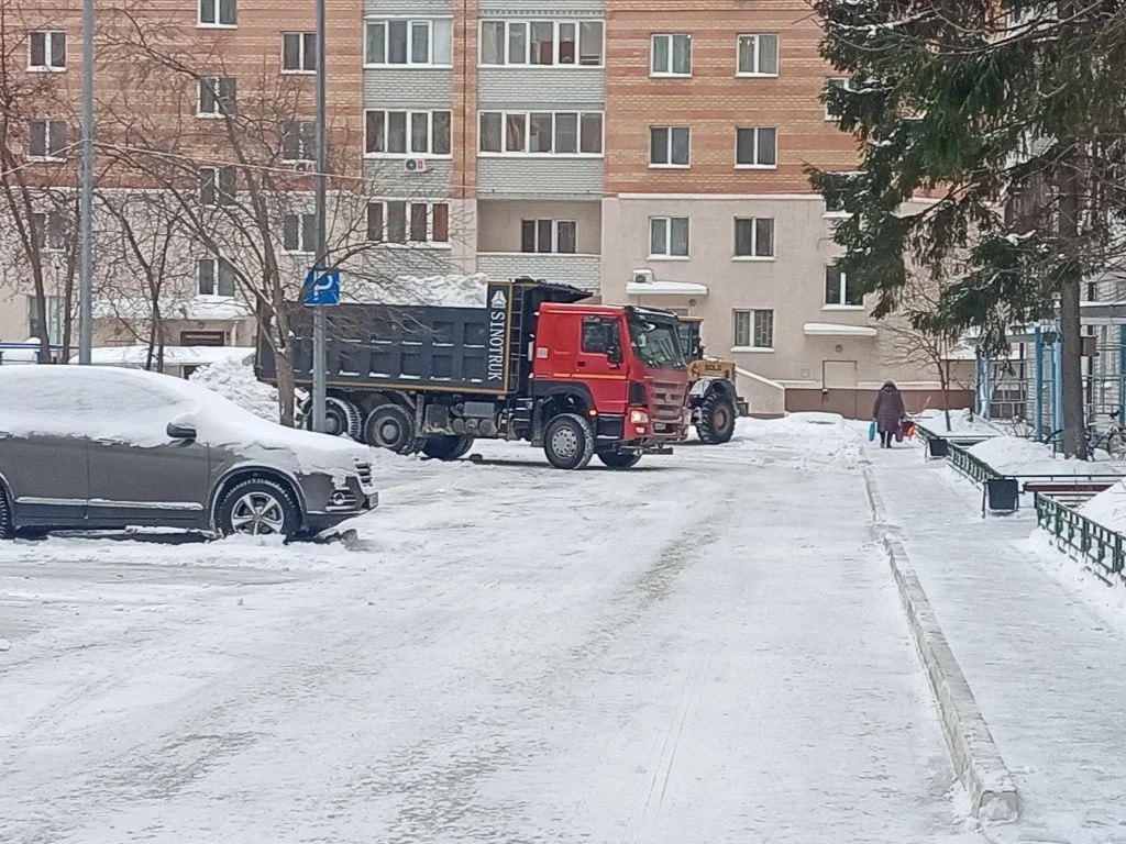 Двор как зимняя сказка, а не снежный плен Двор как зимняя сказка, а не снежный плен