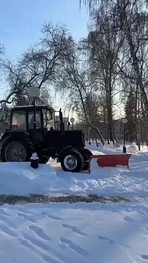 ����� ������ �� ����� ������: �������� ����� ������� ������ � ������ �� 12 ���� ������ ����