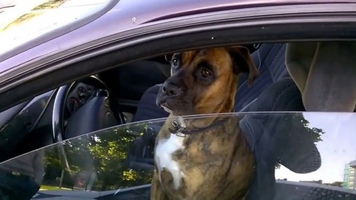 ������ ����� ������������� ������ 2 ������: �������� � �������� ����� ��������� �� ��������� ������������ ���� ����������� � ���