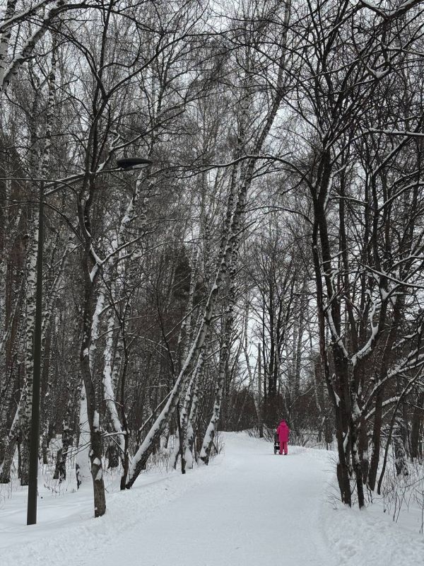 ������������� � ����� � ��������