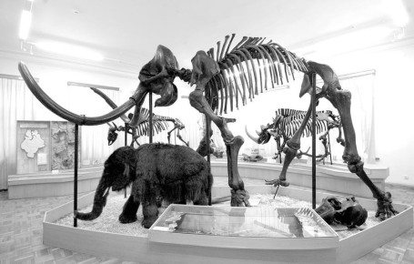 ����������� �������� ��������� ������� ����������� ���������� � ���, ������ ����� ��� ����� ��������� �������� � ��������� ������������� � 2026 ����