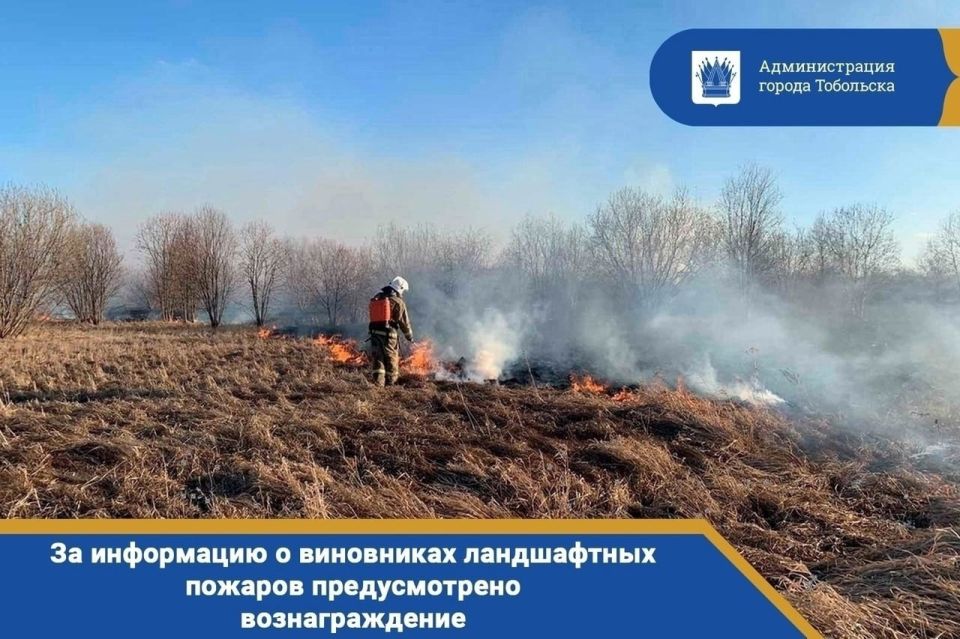 ��������, ��������! � ��������� ������� ��������� ������� ������� �������������� ���������, �������������� ����������� ���������� � ���������� ������������� ����������� (���������) ������� ��� ��������������� �� ����������