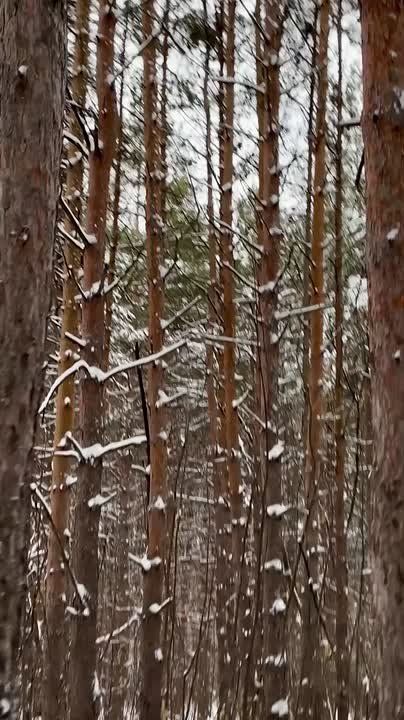 ��������� ������������