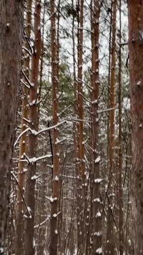 Природные параллельные