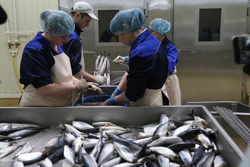 ����� ��� ������ ���� �������� ���� ��������� ������������� ����������� ��������� �������