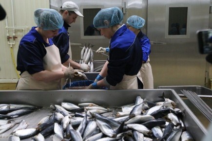 Почти три тысячи тонн товарной рыбы вырастили рыбоводческие предприятия Тюменской области