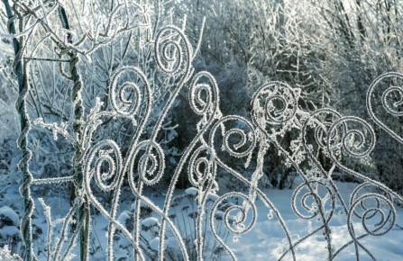 ��� ������� ������ ���: ���������� ����� ��� ��������� ������