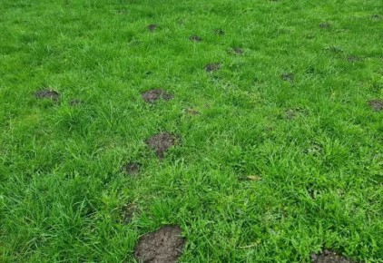 ��� ������ ��������� �����: ������� ������, � ������� ������ ��������