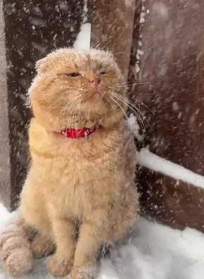 Доброе утро!. Уже середина первой в 2026 году рабочей недели, до выходных рукой подать МегаТюмень