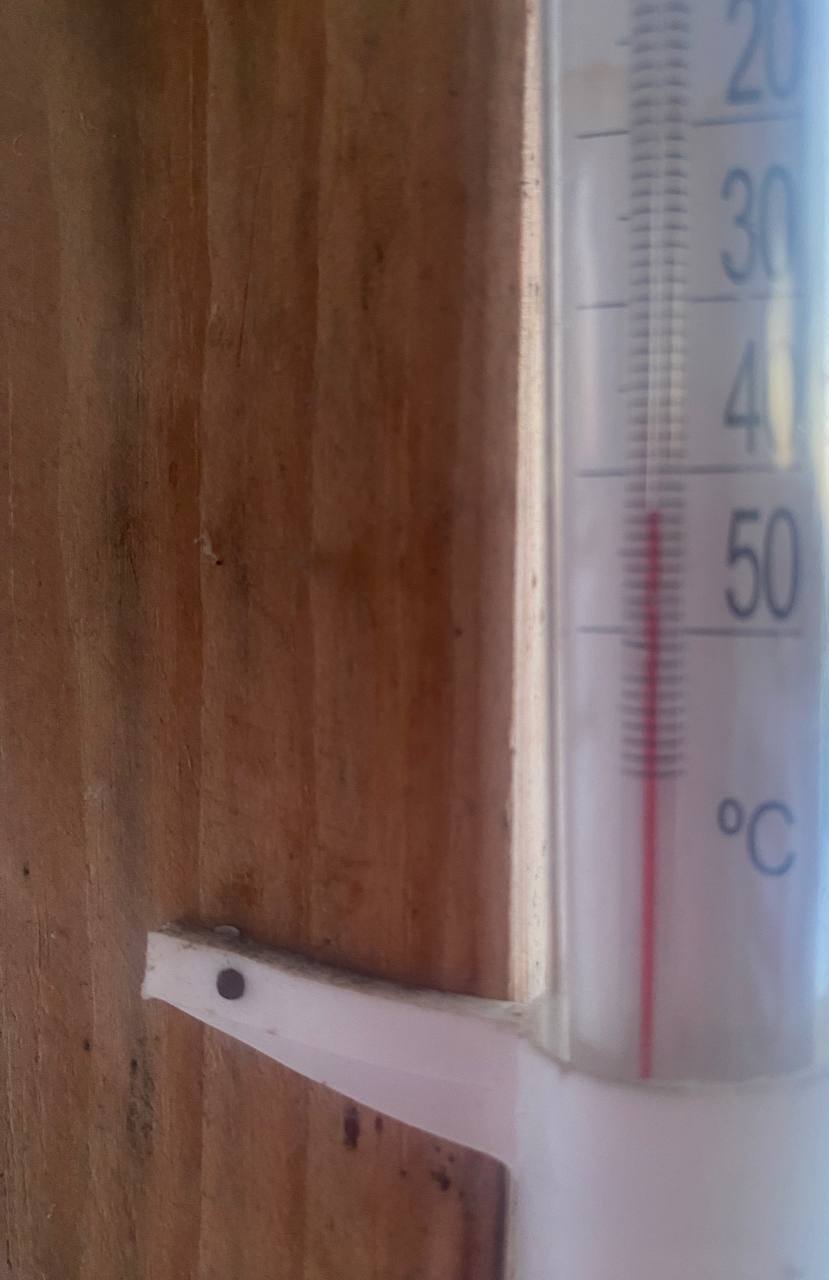 Тюменцы возмущены отсутствием актировки для школьников с 5 по 11 класс Тюменцы возмущены отсутствием актировки для школьников с 5 по 11 класс