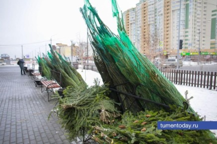 �� ������������ ���� � �������� � �������� �� ��������!