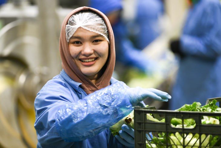 �������� � ����������� � ���������� ����������������, ����������� �� ������ ���������� � ��������� �������