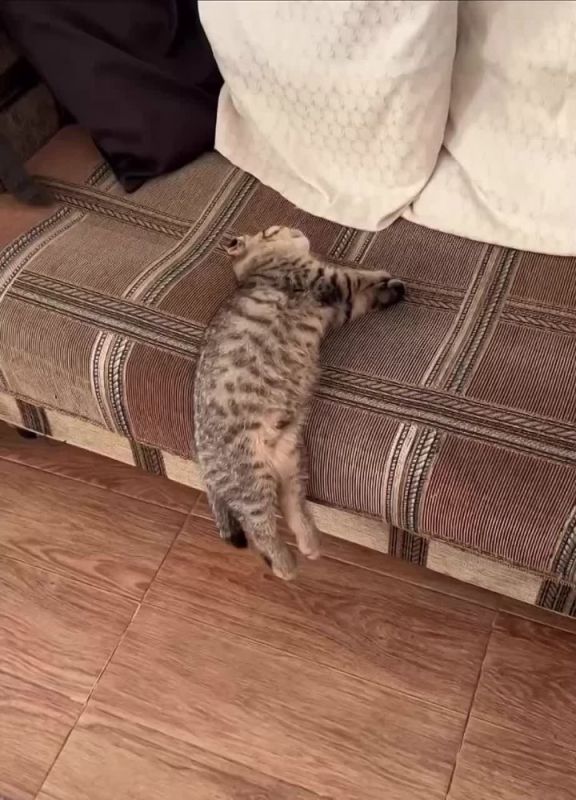 ������ ����! ������ �� �������)